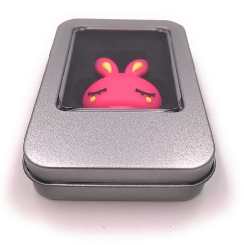 Pinker Hase niedlich Ostern Funny USB Stick div Kapazitäten - Picture 42 of 56