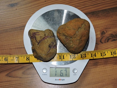 2 Natural YELLOW & RED Jasper - Agate Nodules (2lbs+ total) 'KETCHUP & MUSTARD' - Picture 20 of 23