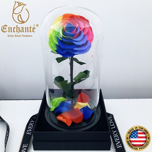 REAL Preserved Eternity Forever Rose Glass Dome Anniversary Valentine's Day Gift - Picture 11 of 14