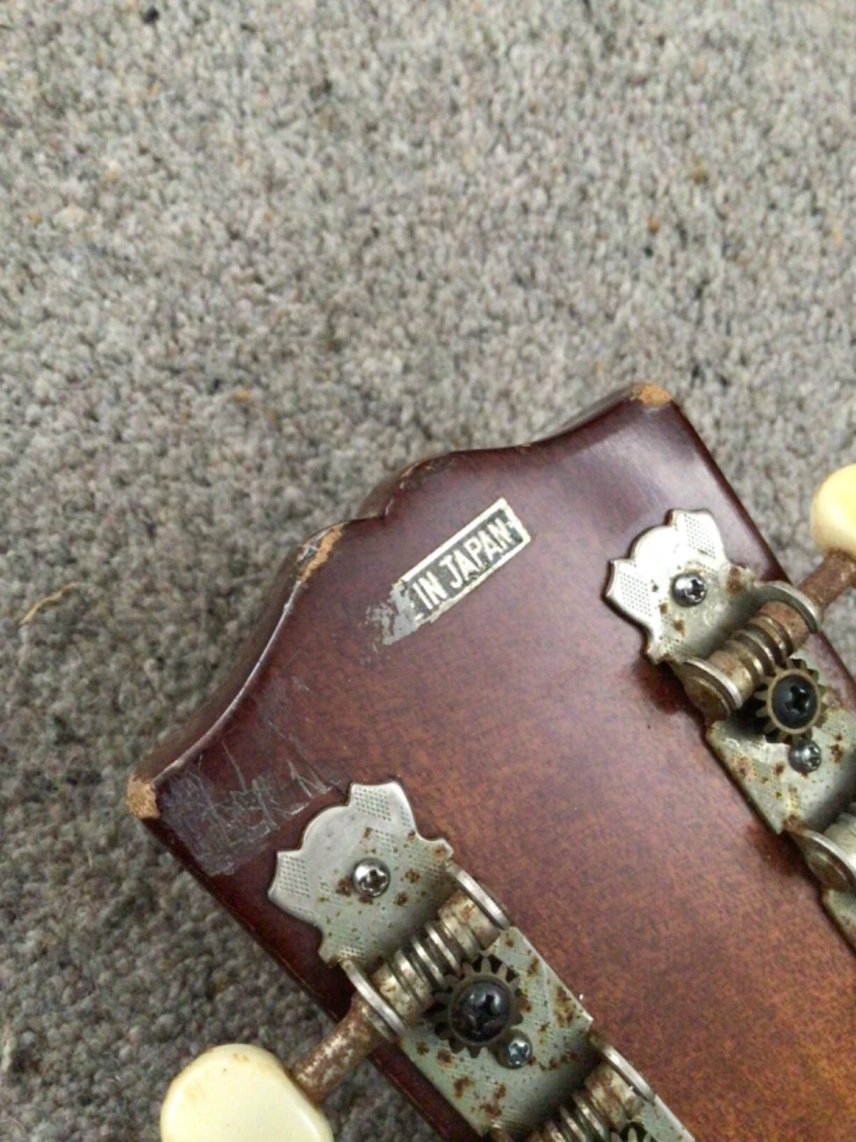 Picture 10 of 10