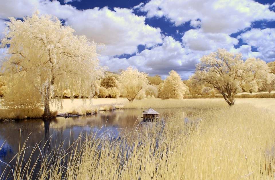 Nikon D40x Infrared converted 590nm IR Camera Body only Goldie Infrared 800 s/c - Image 4 of 4