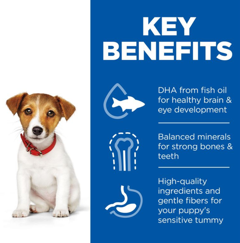 Hills Science Plan Puppy Small & Mini Breed Dry Dog Food (Chicken) 3Kg & 6Kg - Picture 6 of 7