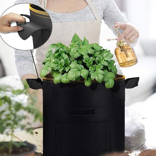 10 Pcs Potato Planting Growing Plant Fabric Pot Nursery Bags Thickened Nonwoven - Picture 34 of 35