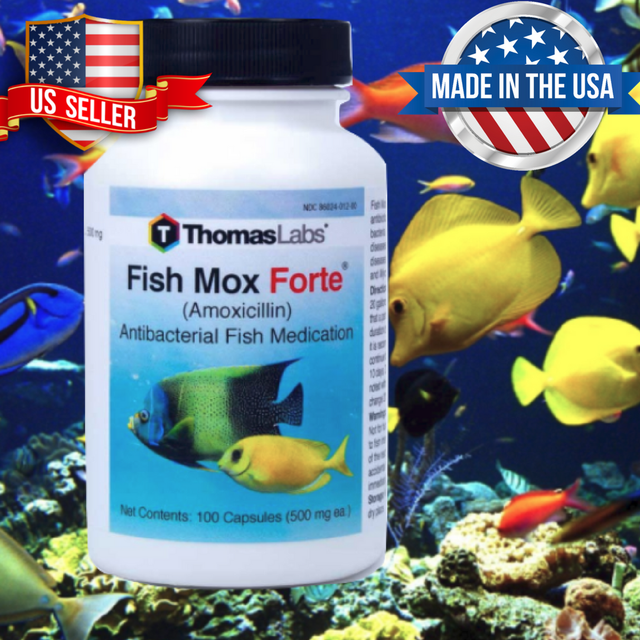 Thomas Labs Fish Mox Forte Amoxicillin Antibacterial Fish Medication