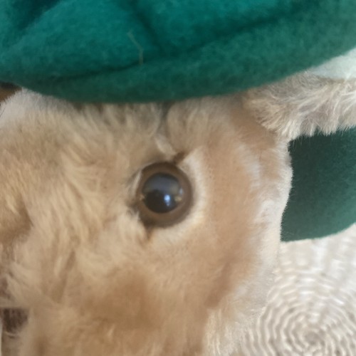 Beatrix Potter Benjamin Bunny Plush 12" Stuffed Animal Eden Vintage - Picture 6 of 12