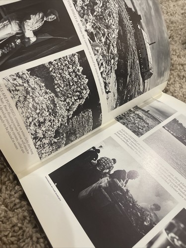 Beautiful Northwest Sunset 1970 Pictorial Coast Olympic Peninsula Puget HC  - Bild 22 von 24