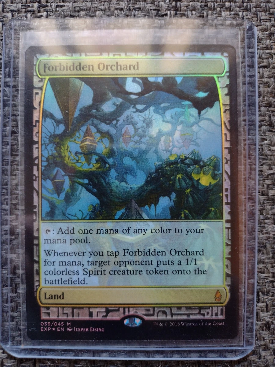 Land Magic: The Gathering Zendikar Expeditions Full Art Individual