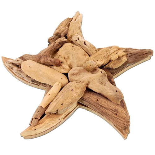 SEESTERN Treibholz Deko mit Seestern ( 20 cm ) Motiv Wanddeko Driftwood Holzdeko - Bild 1 von 5
