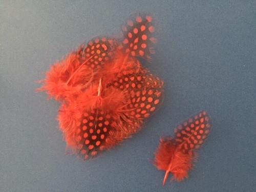 MIXED FEATHERS!! Choose your feather pack. AU STOCK - Free Postage. - Picture 17 of 30