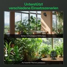 Bild 7 von 10
