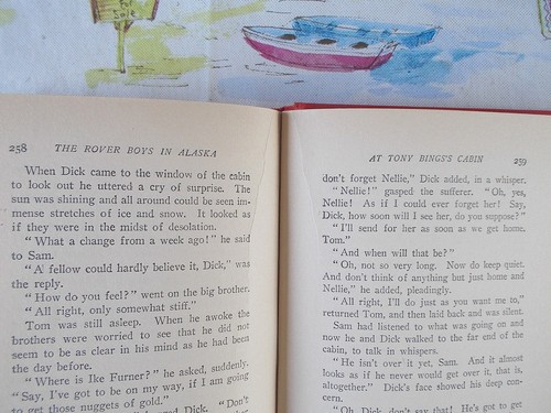 Arthur M. Winfield DIE ROVER-JUNGEN IN ALASKA 1914 Grosset & Dunlap, NY Hardcover - Bild 18 von 24