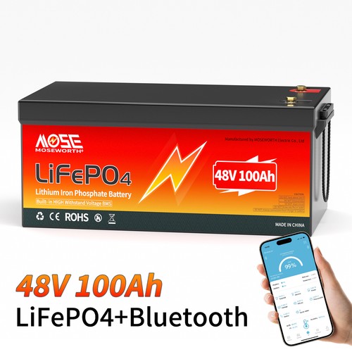 12V 24V 100Ah 168Ah 300Ah LiFePO4 Lithium Battery Deep Cycle BMS Solar RV Marine - Picture 76 of 152