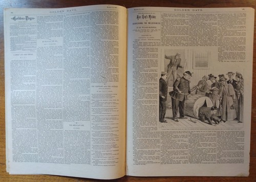 1893 Golden Days for Boys and Girls Illustrated Magazine Vol. XIV No. 18 - Picture 3 of 7