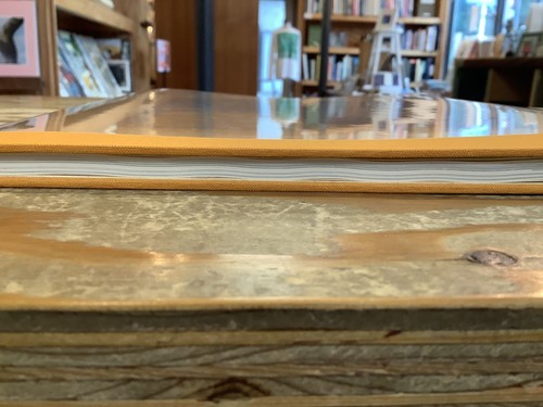 Masahisa Fukase Hysteric Twelve Photography Book Japan Hysteric Glamour #1314 - Bild 6 von 24