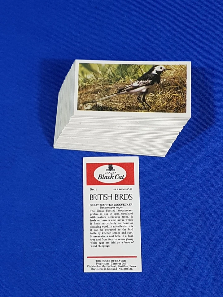 Carreras Black Cat Cigarette Cards BRITISH BIRDS Full set of 50 loose - Image 2 of 4