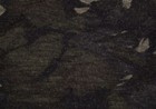 Foto 11 di 12