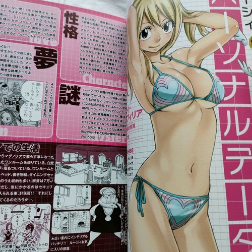 Hiro Mashima Monthly Fairy Tail Magazine vol.2 With Stickers Poster 1st edition - Picture 6 of 10
