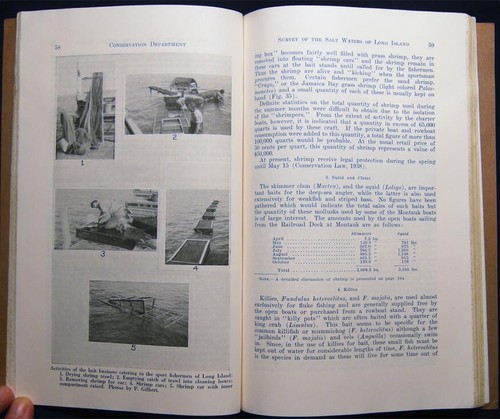 1938 LONG ISLAND NEW YORK SALT WATER FISHERIES SURVEY SHORELINE ECOLOGY HISTORY - Picture 2 of 5