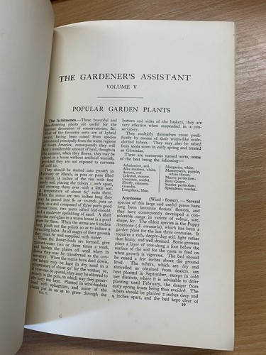1925 THE GARDINER'S ASSISTANT POPULAR PLANTS/GREENHOUSES etc VOL 5 BOOK (P7) - Picture 10 of 21