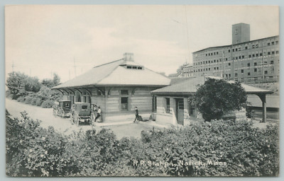 Natick MA Buggies & Ladies @ Train Depot~Open Screen Door to Below Ground c1910