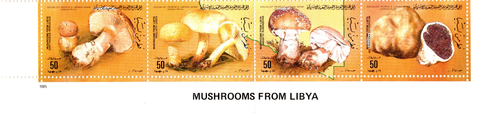 LIBYA 1985 MUSHROOMS FROM LIBYA 16 STAMPS SHEET FOLDED, SCOTT 1268 MNH - 第 17/22 張圖片