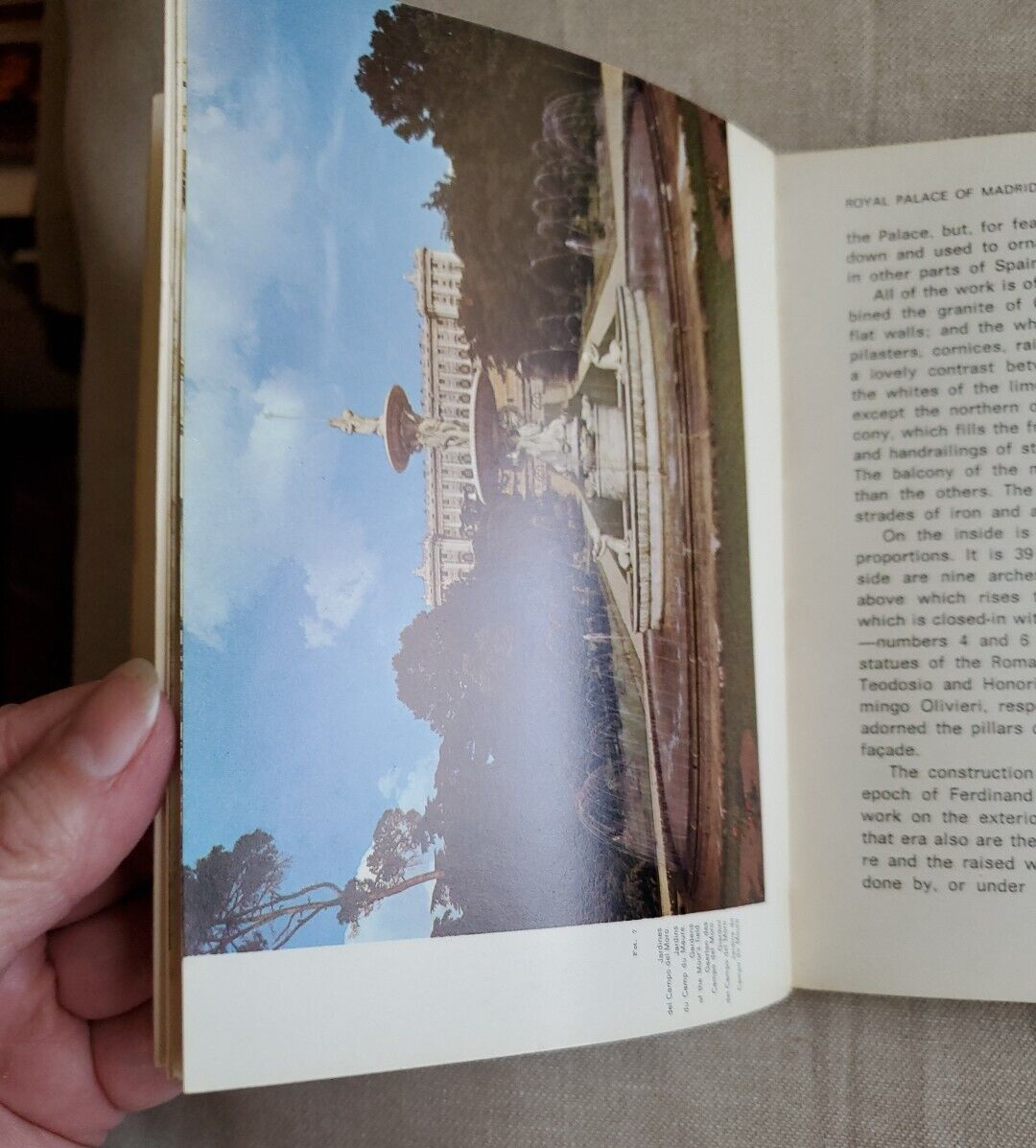 Foto 10 di 14