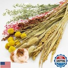 Herb Bedding Hamster Natural Hamster Bedding Edible Flowers Herbs Sprays for