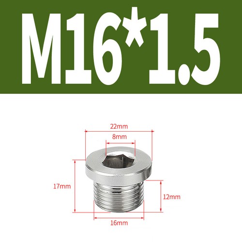 BSP Hydraulic Socket Blanking Plug 1/8" 1/4" 3/8" 1/2" 3/4" 1" 1-1/4" 1-1/2" 2" - Picture 23 of 39