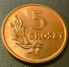 POLaND - 5 Groszy (Bronze) 1949 - The Polish People's Republic *UNC