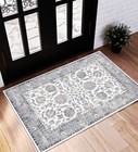 Area Rug 2x3 Washable Rug Door Mat Vintage Distressed Doormat Indoor Entrance...