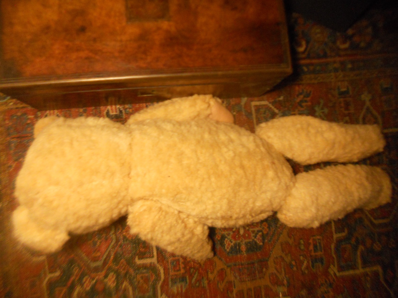 Picture 4 of 5
