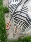 Bild 4 von 4