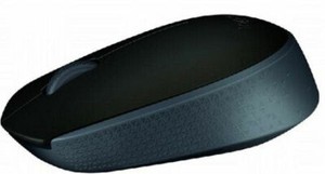 Logitech M171 (910-004424) Kabellos Funk-Maus - Schwarz/Grau