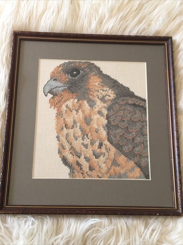 Hawk Picture Bird Of Prey Nature Cross stitch Framed Under Glass Wall Art 12x13”