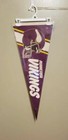 WinCraft Minnesota Vikings NFL Pennants