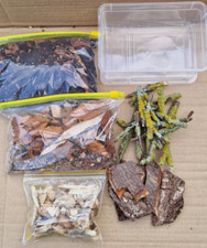 Isopod kit 1.3L Soil, Leaf Litter, Woodchips, Lichen Branches, Whitewood, Bark