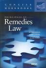 Principles of Remedies Law by Russell L. Weaver, Elaine W. Shoben, Michael B. Kelly (Paperback, 2011)