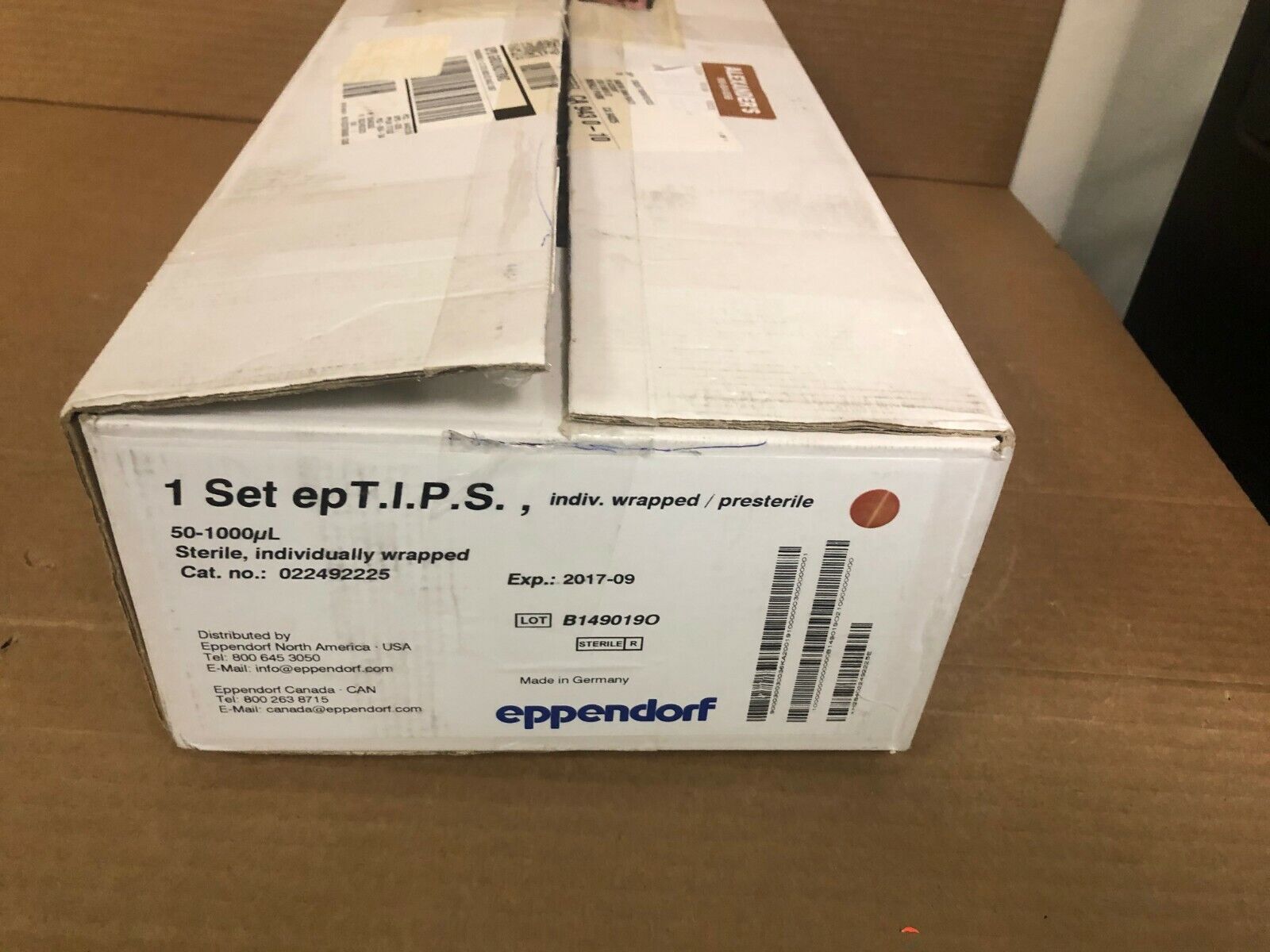 Foto 1 di 2