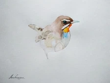 Flycatcher,  Birds, Watercolor artwork, Handmade, Original painting on paper