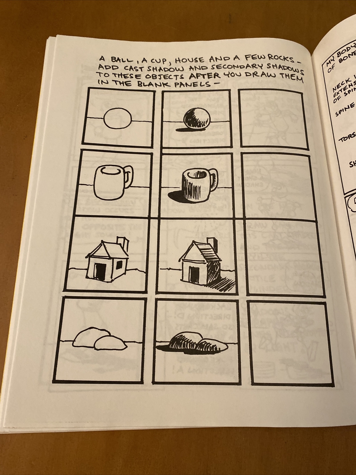 Picture 4 of 5