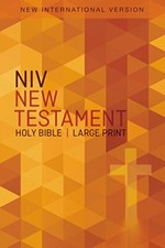 NIV, Outreach New Testament, Large Print, Paperback by Zondervan Book The Fast