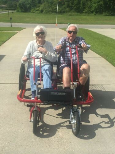 trailmate tricycle dual joy rider recumbent side by side electric assist for 2 - Picture 3 of 6