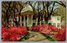 Postcard Alabama Mobile Mitchell Home Springhill Avenue Braxton Bragg A296
