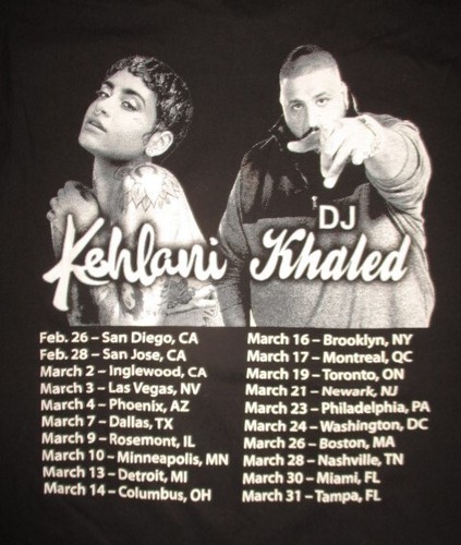 2017 DEMI LOVATO KEHLANI and DJ KHALED Concert Tour (SM) T-Shirt - Picture 4 of 4