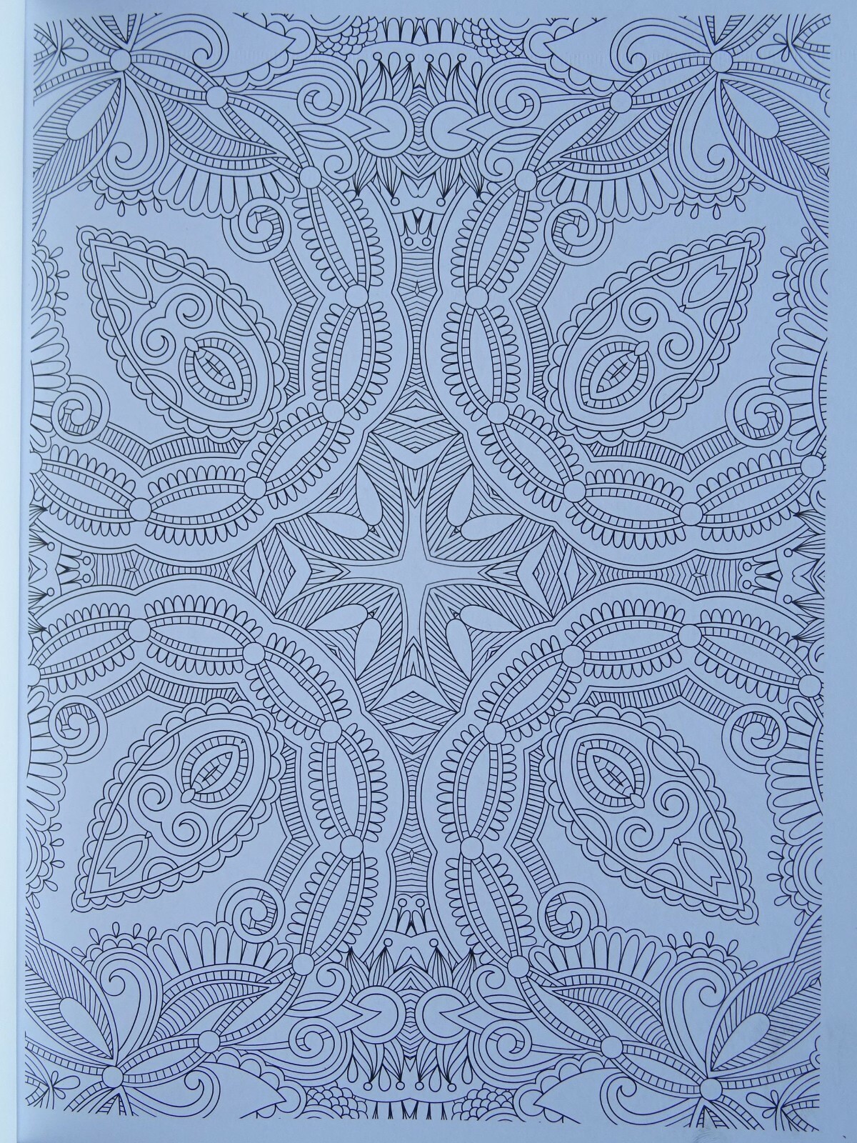 Picture 38 of 48
