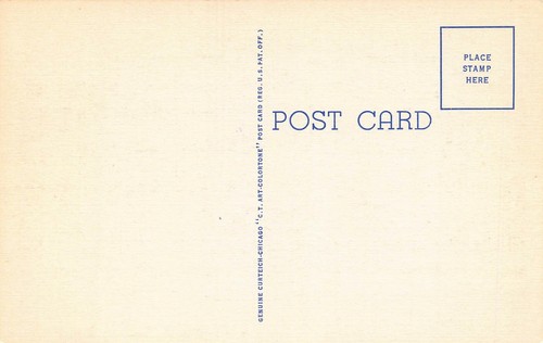 State Capitol Postcard Carson City Nevada - Imagen 2 de 2