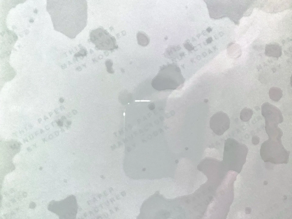 1977-81 Walter Payton "Sweetness in Motion" PSA Type 1 Original Photo - Image 3 of 3