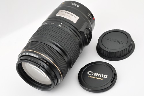 MINT Canon EF 75-300mm f/4-5.6 IS USM Telephoto Zoom Lens Fast Delivery - Picture 13 of 13