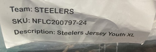 Pittsburgh Steelers NFL Youth Jersey Size Youth XL This Is Brand New In The Bag! - Picture 6 of 6