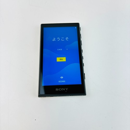 Sony Walkman NW-A100TPS 16GB 40th Anniversary Model Limited Hi-Res Bluetooth - Picture 18 of 21